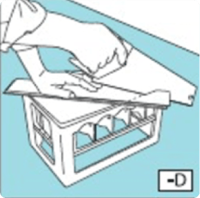 step-herrin-8.png